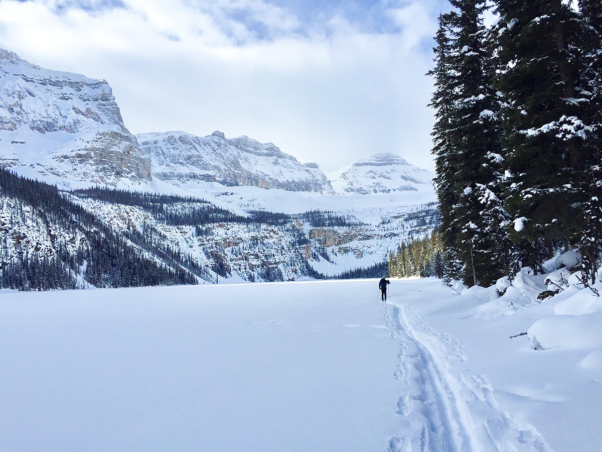 Along Boom Lake snowshoe trail in Banff National Park