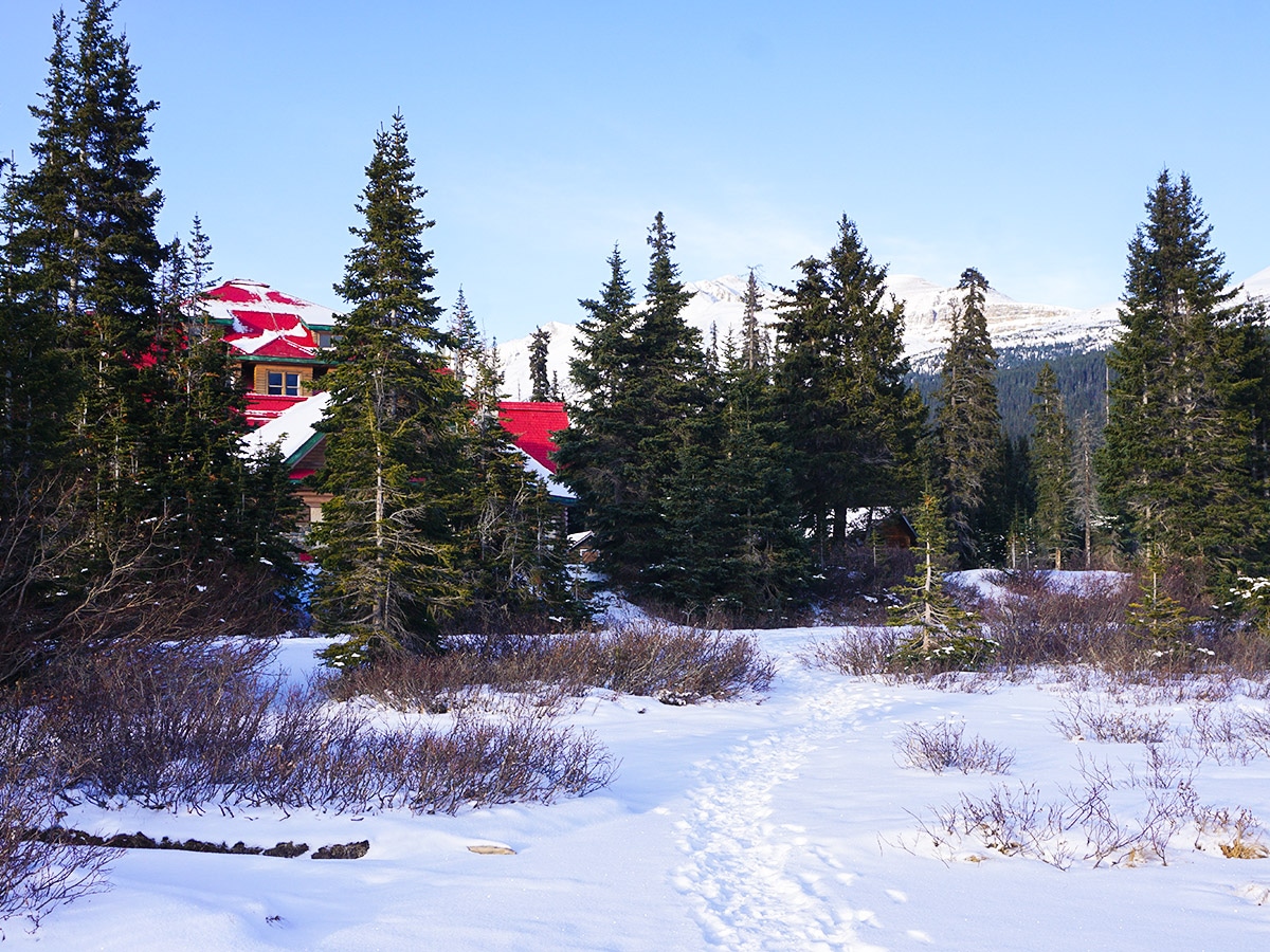 Num-Ti-Jah Lodge on Bow Lake snowshoe trail in Banff National Park