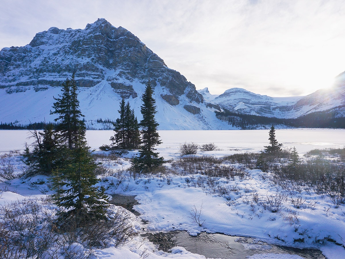 Views near the parking lot on Bow Lake snowshoe trail in Banff National Park