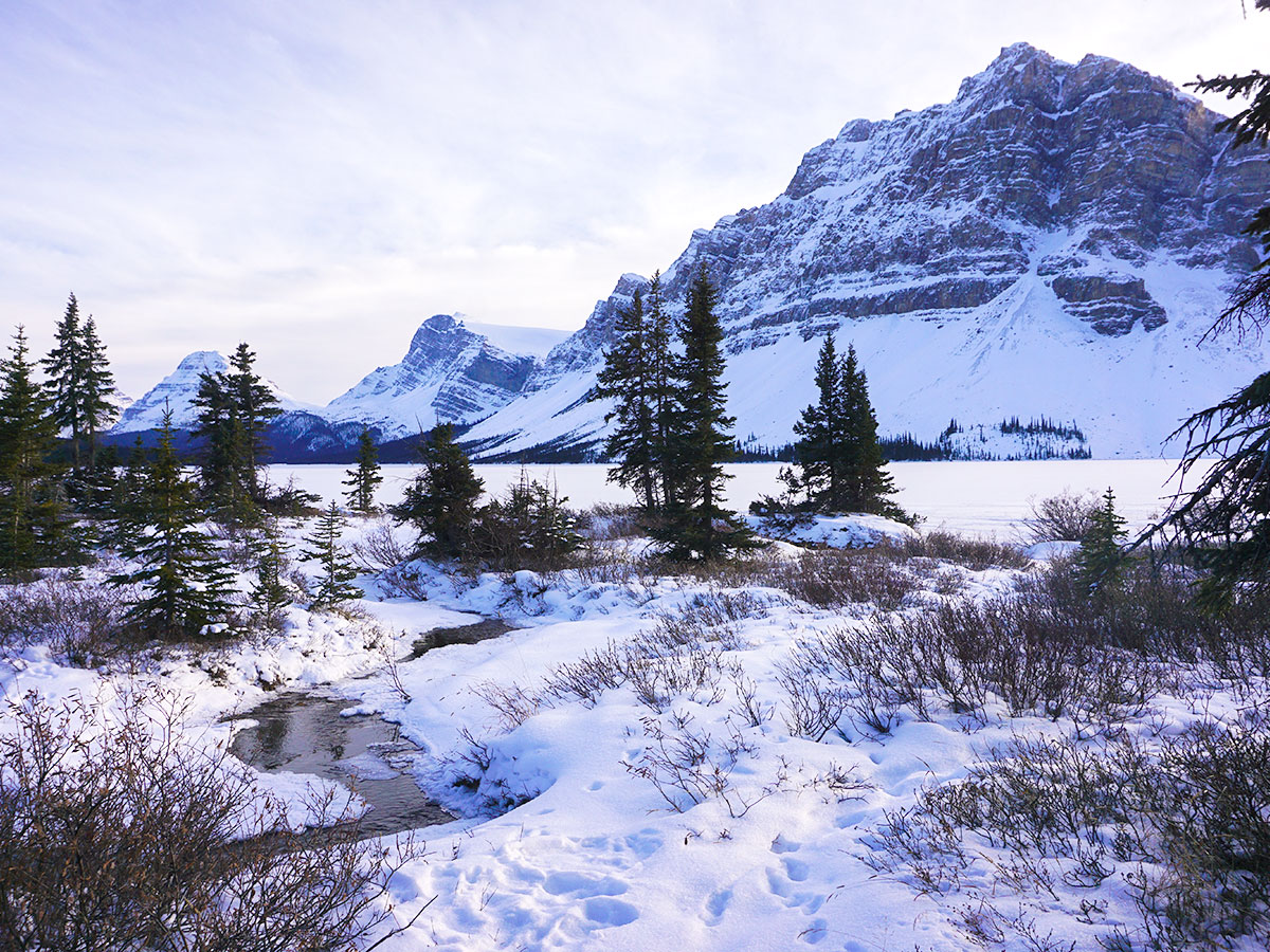 Early season on Bow Lake snowshoe trail in Banff National Park