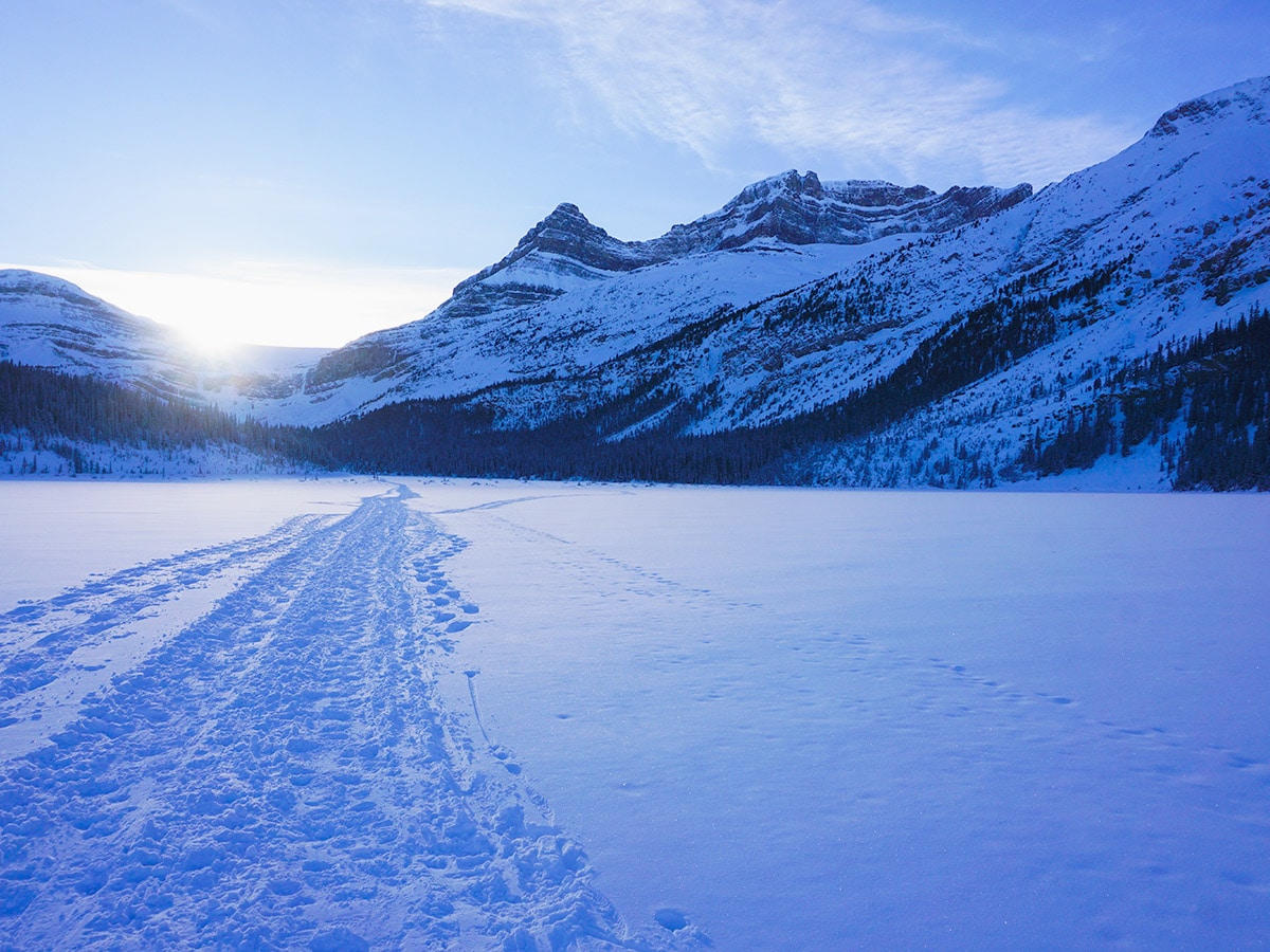 Beautiful scenery on Bow Lake snowshoe trail in Banff National Park