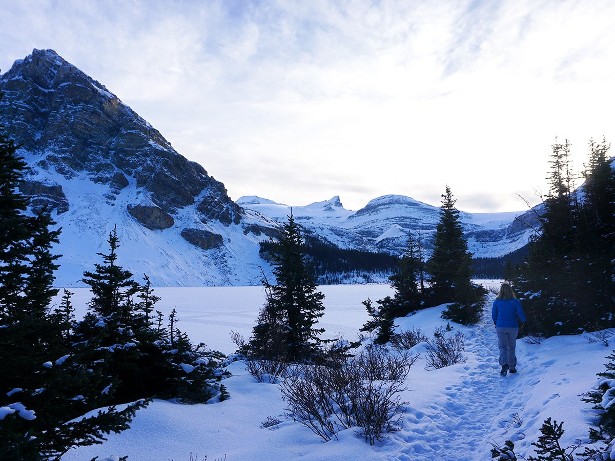 Path of Bow Lake snowshoe trail in Banff National Park