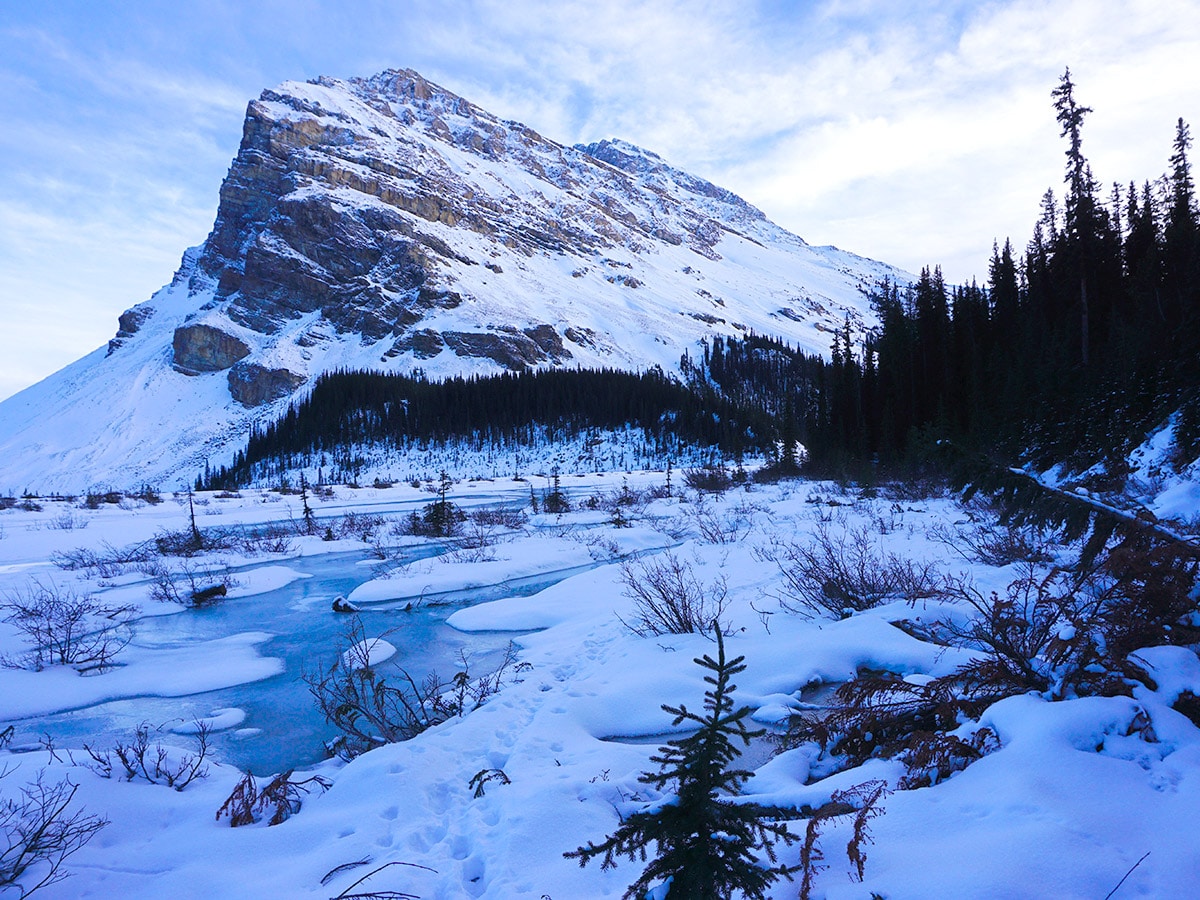 Stunning views on Bow Lake snowshoe trail in Banff National Park