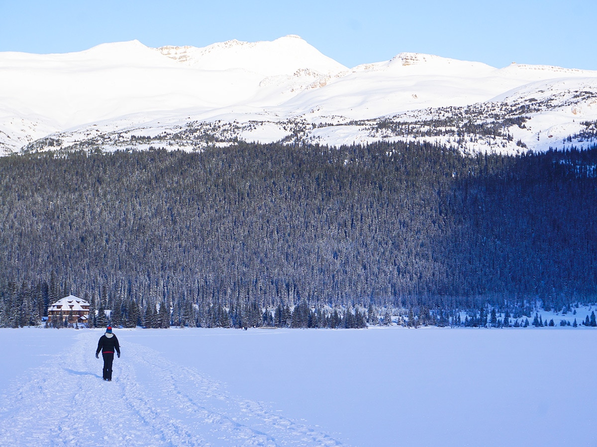 Walking on the lake on Bow Lake snowshoe trail in Banff National Park
