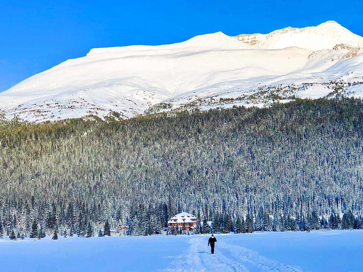 Great scenery on Bow Lake snowshoe trail in Banff National Park