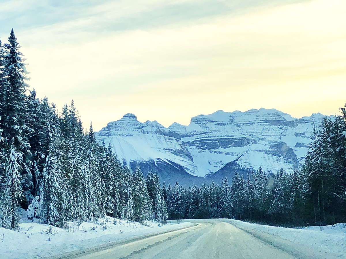 Views on a way to Bow Lake snowshoe trail in Banff National Park