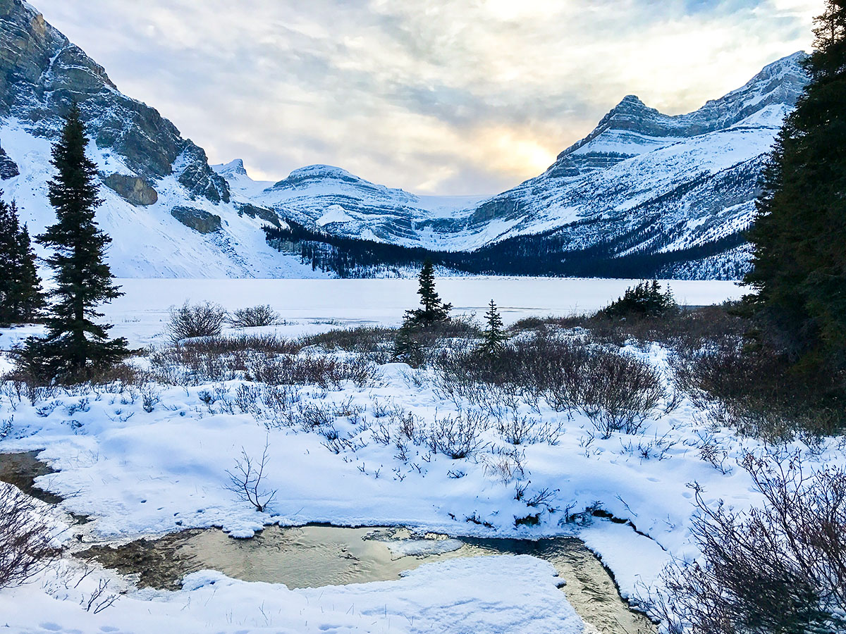 Near the beginning of Bow Lake snowshoe trail in Banff National Park