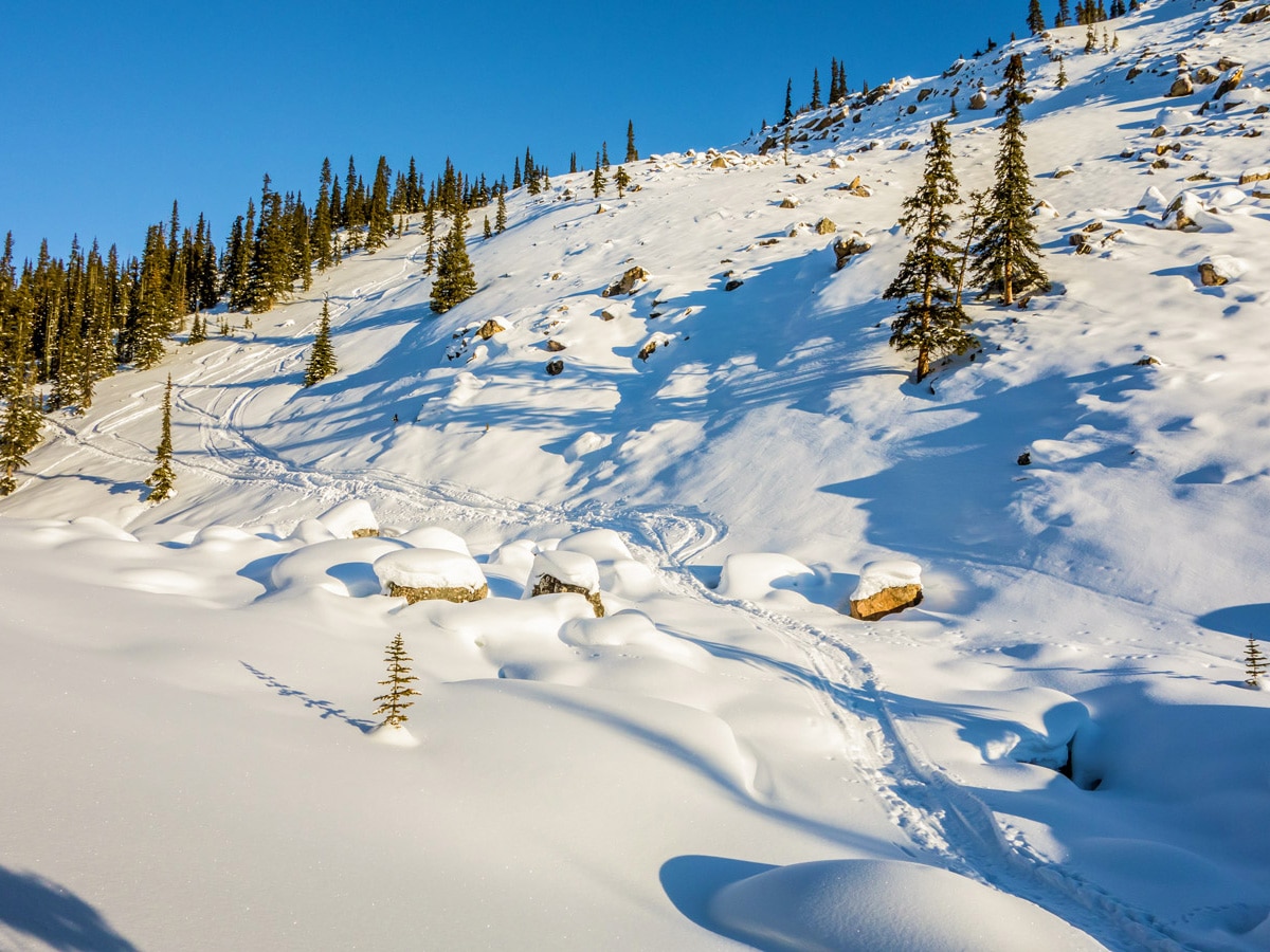 A rocky slope on Crystal Ridge snowshoe trail Banff National Park