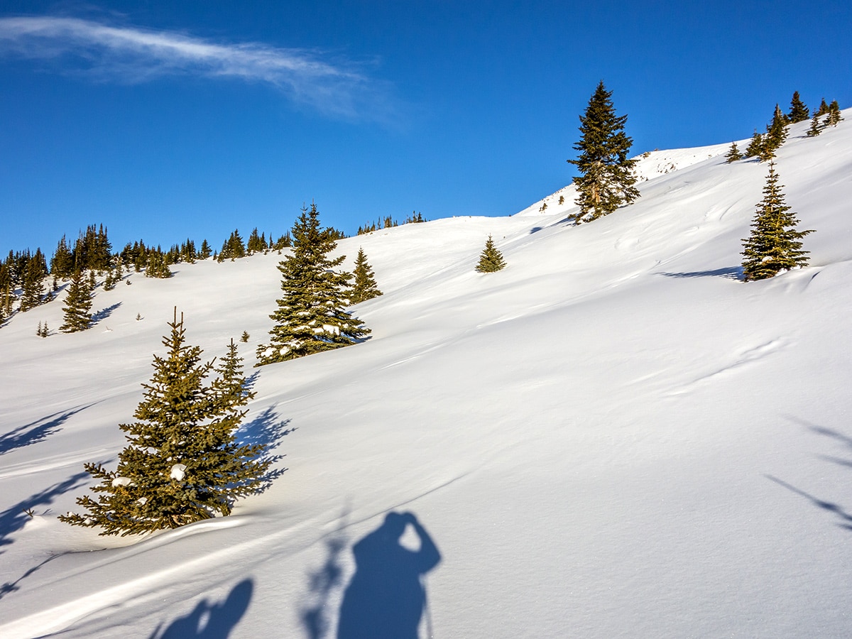 Open slopes at treeline on Crystal Ridge snowshoe trail Banff National Park