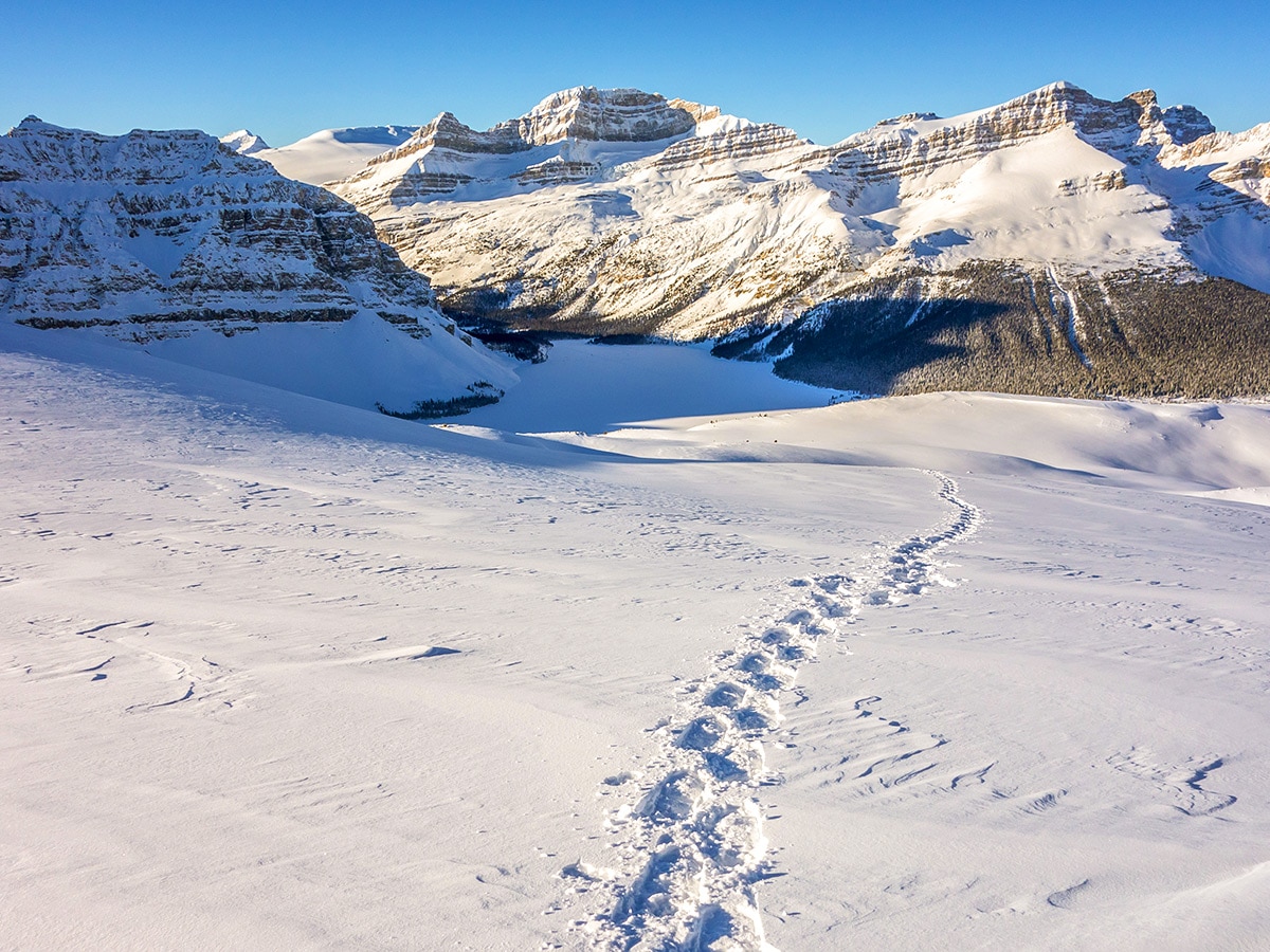 Tracks on Crystal Ridge snowshoe trail Banff National Park