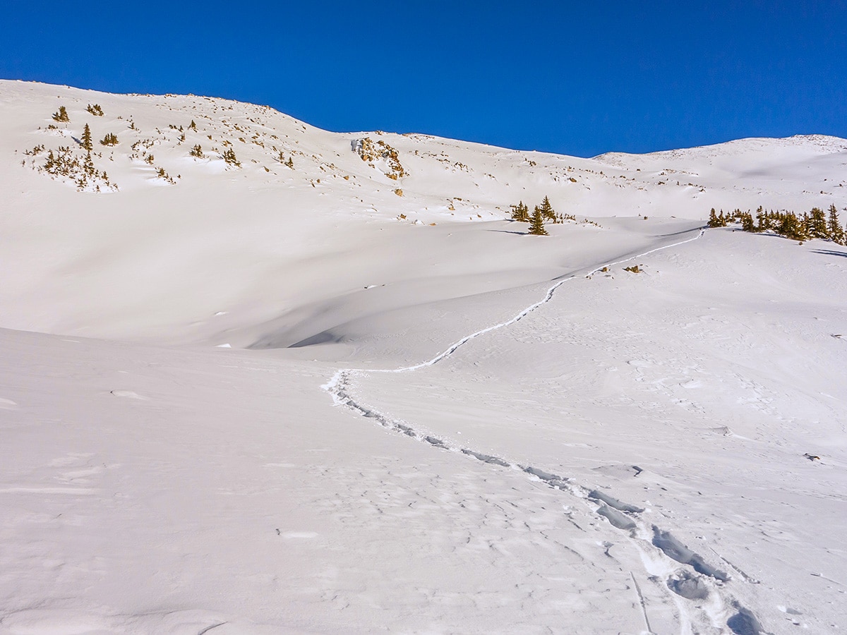 Trail down on Crystal Ridge snowshoe trail Banff National Park