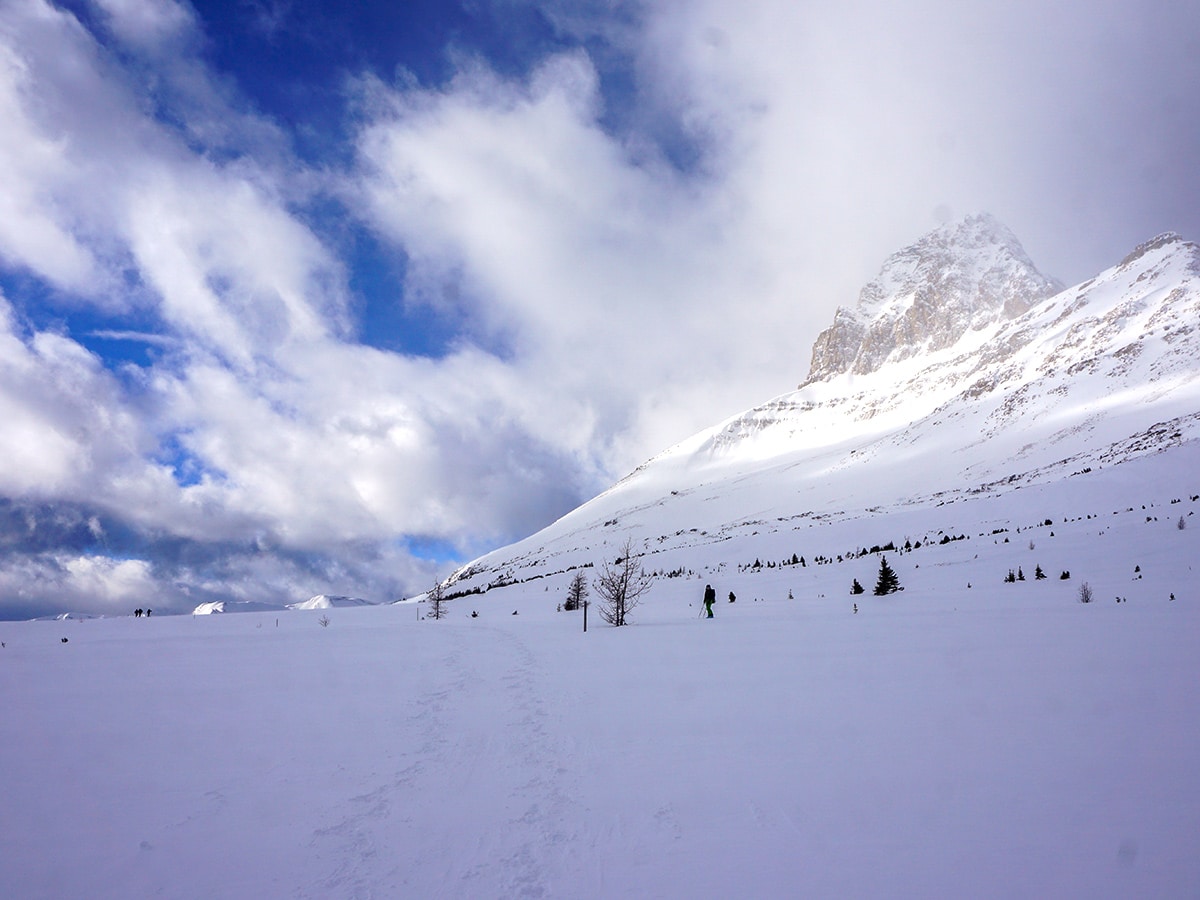 Base of Deception Pass snowshoe trail Banff National Park