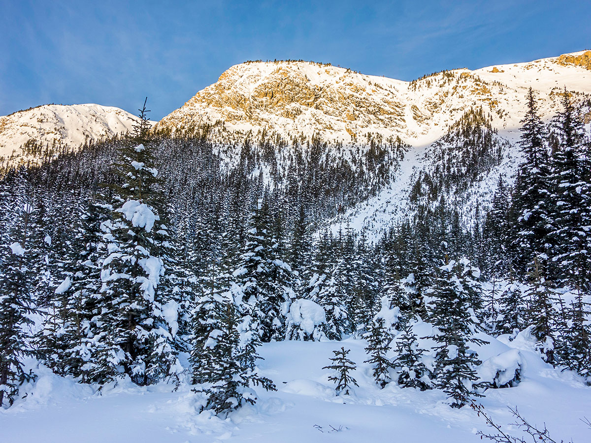 Crossing an avalanche run on Healy Pass snowshoe trail Banff National Park