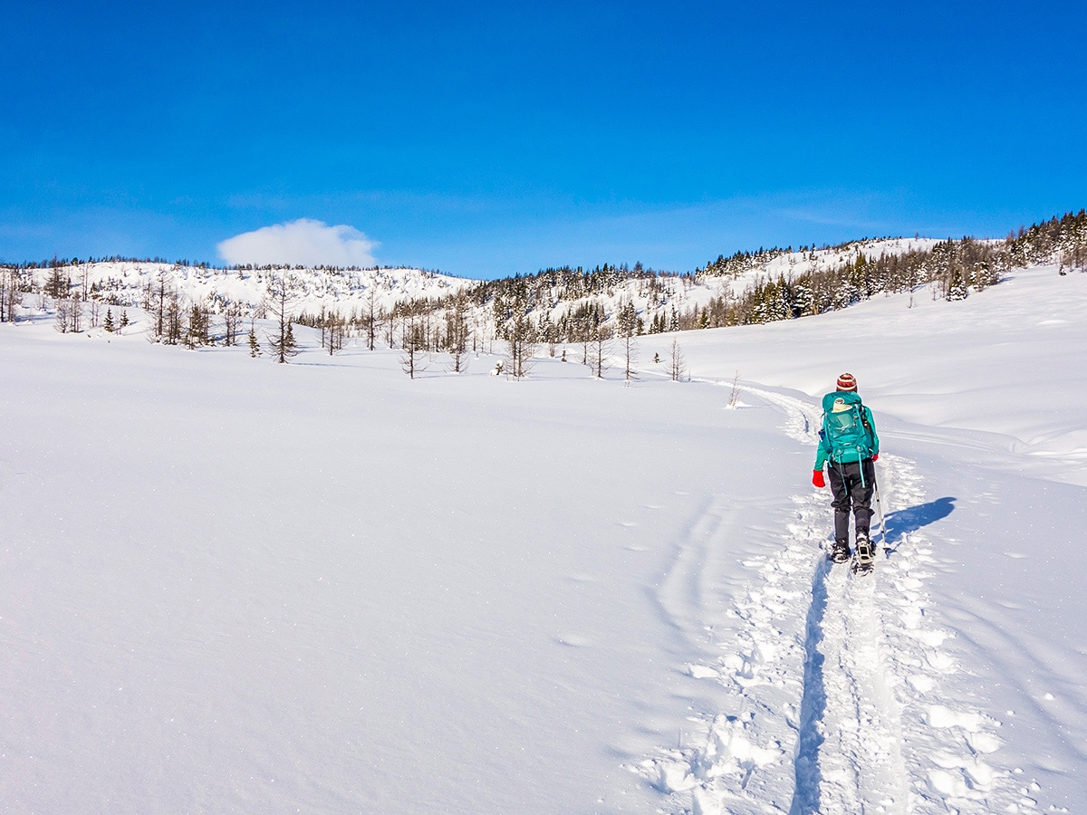 Approaching the pass on Healy Pass snowshoe trail Banff National Park