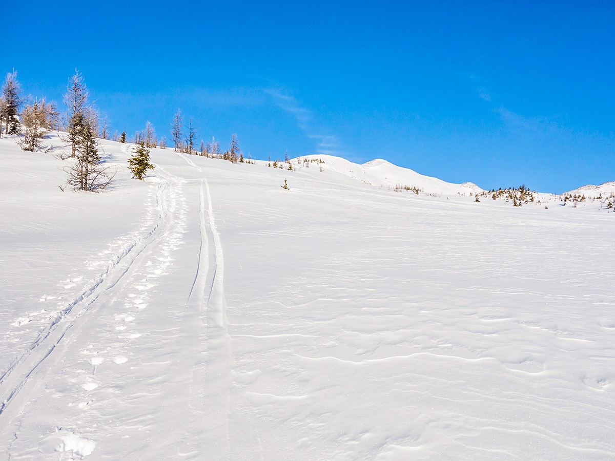 Contouring on Healy Pass snowshoe trail Banff National Park