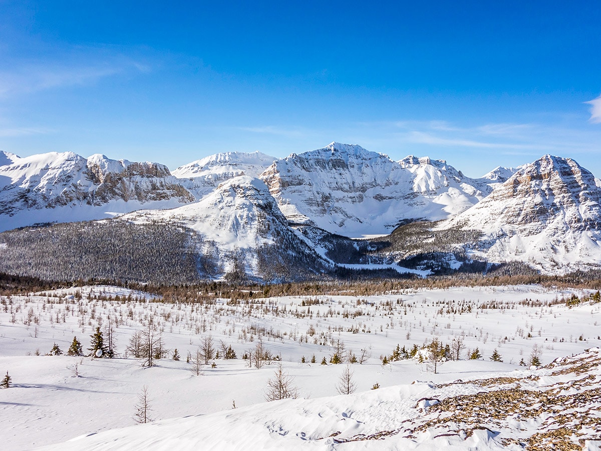 Stunning scenery from the Healy Pass snowshoe trail Banff National Park