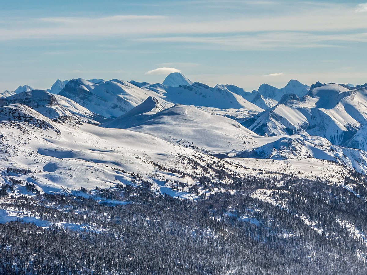 Alpine meadows near Sunshine Village on Healy Pass snowshoe trail Banff National Park