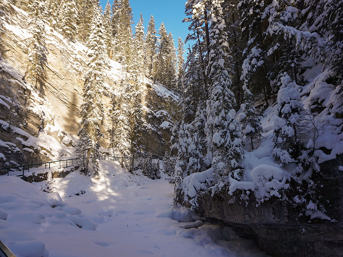 Path of Johnston Canyon snowshoe trail in Banff National Park