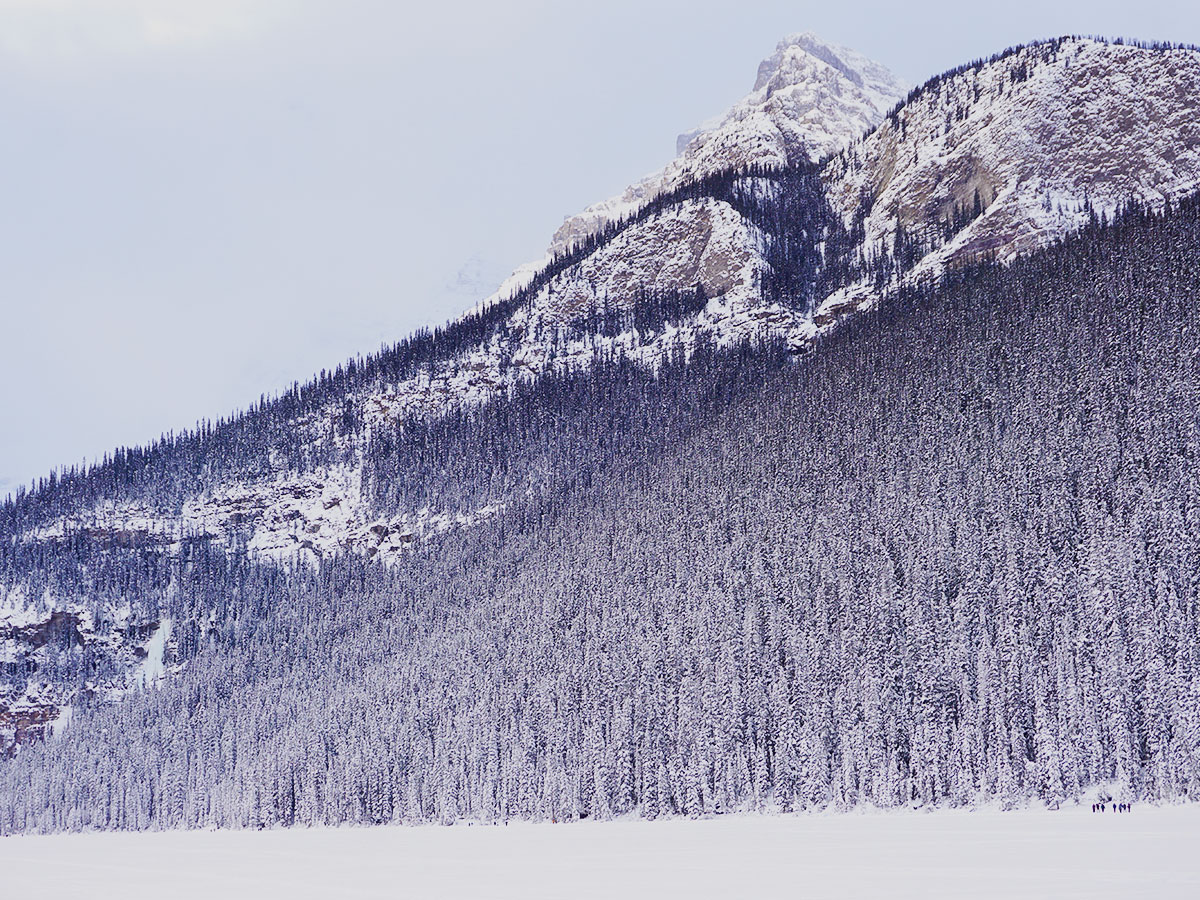 Snowy peak on Lake Louise snowshoe trail in Banff National Park