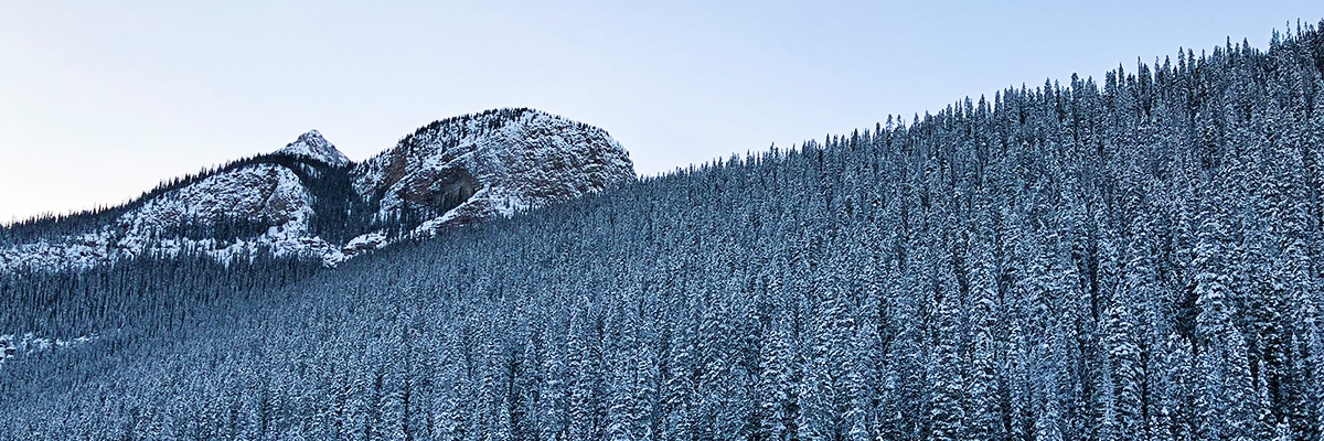 Lake Louise snowshoe trail in Banff National Park has beautiful mountain views