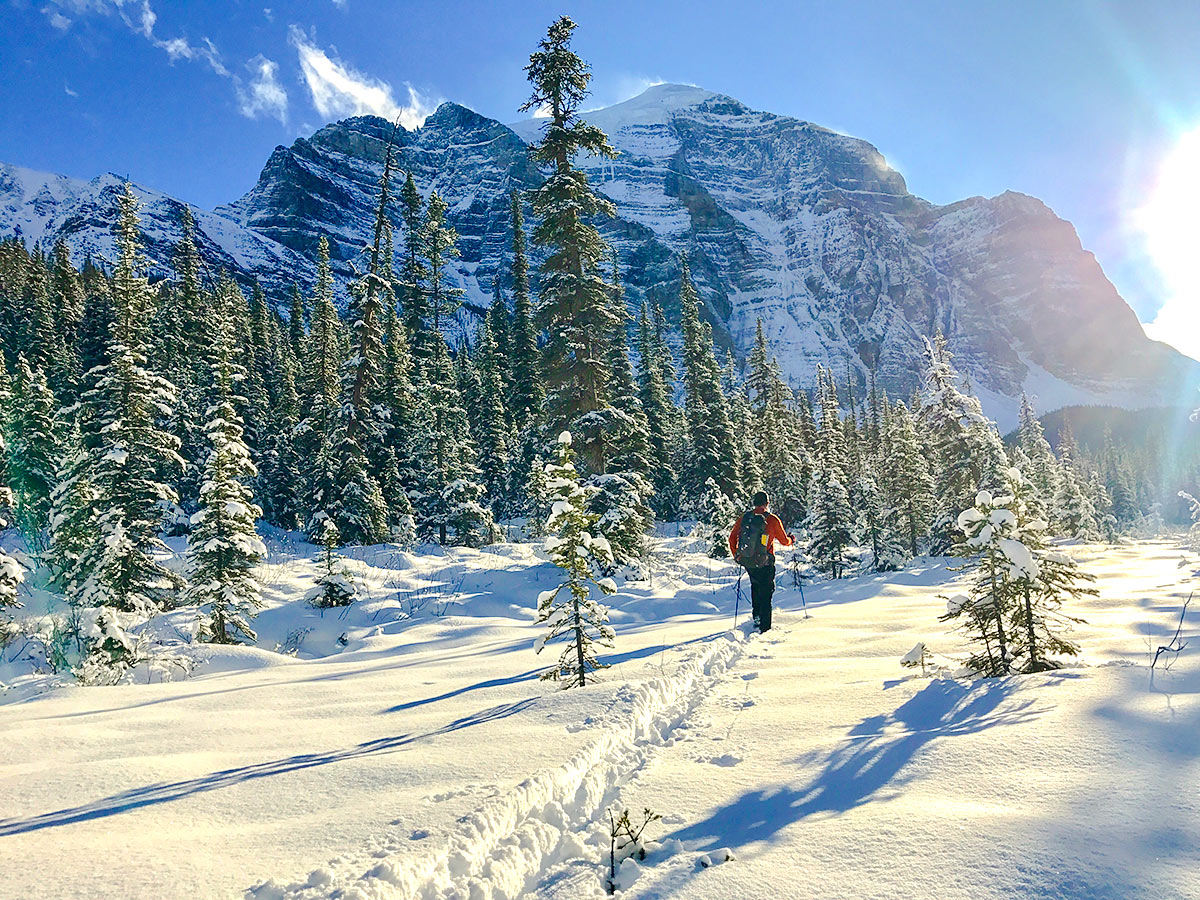 Views from Paradise Valley snowshoe trail near Lake Louise in Banff National Park