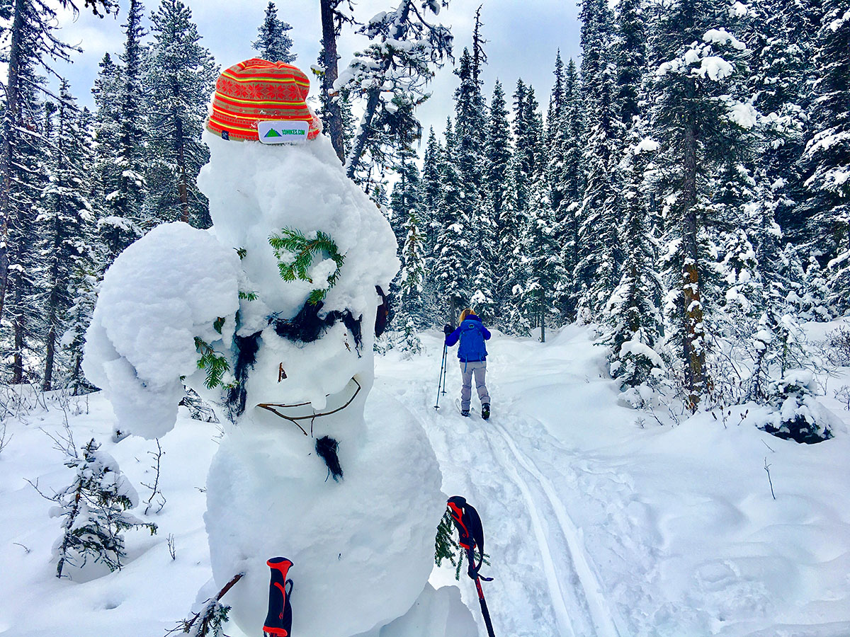 Fairview Trail on Paradise Valley snowshoe trail near Lake Louise in Banff National Park