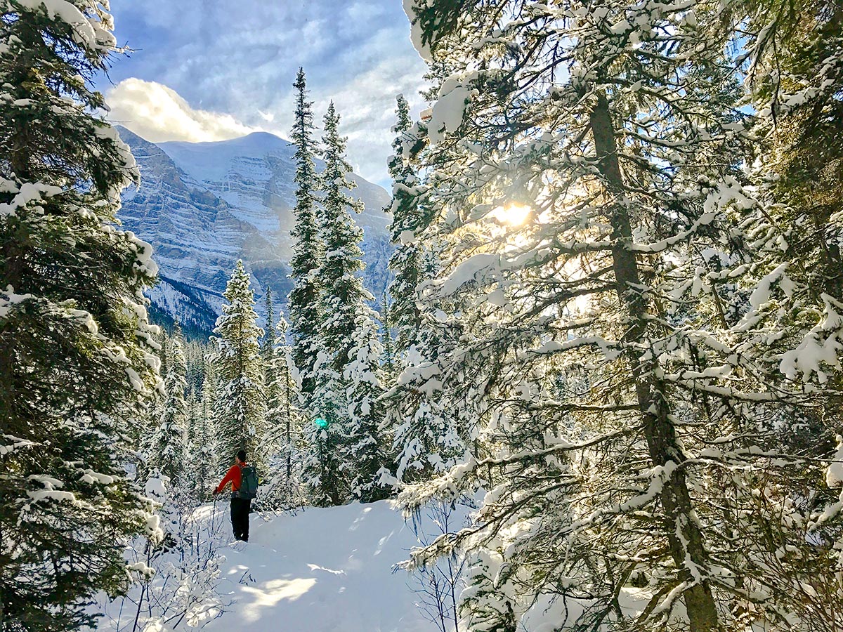 Snowshoeing into Paradise Valley near Lake Louise