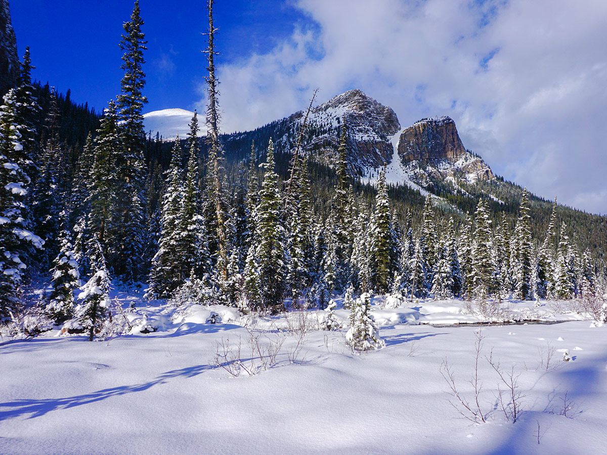 Saddle Mountain view from Paradise Valley snowshoe trail near Lake Louise in Banff National Park