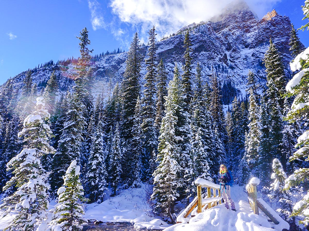 Bridge on Paradise Valley snowshoe trail near Lake Louise in Banff National Park