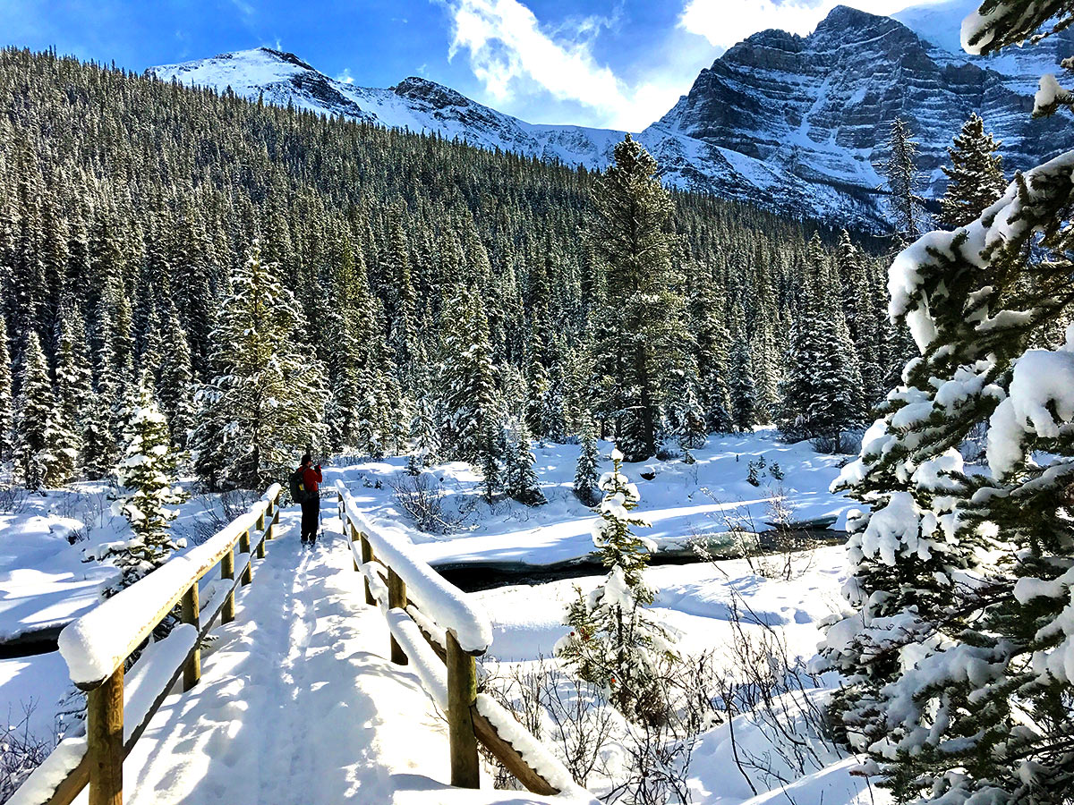 Stunning winter views on Paradise Valley snowshoe trail near Lake Louise in Banff National Park