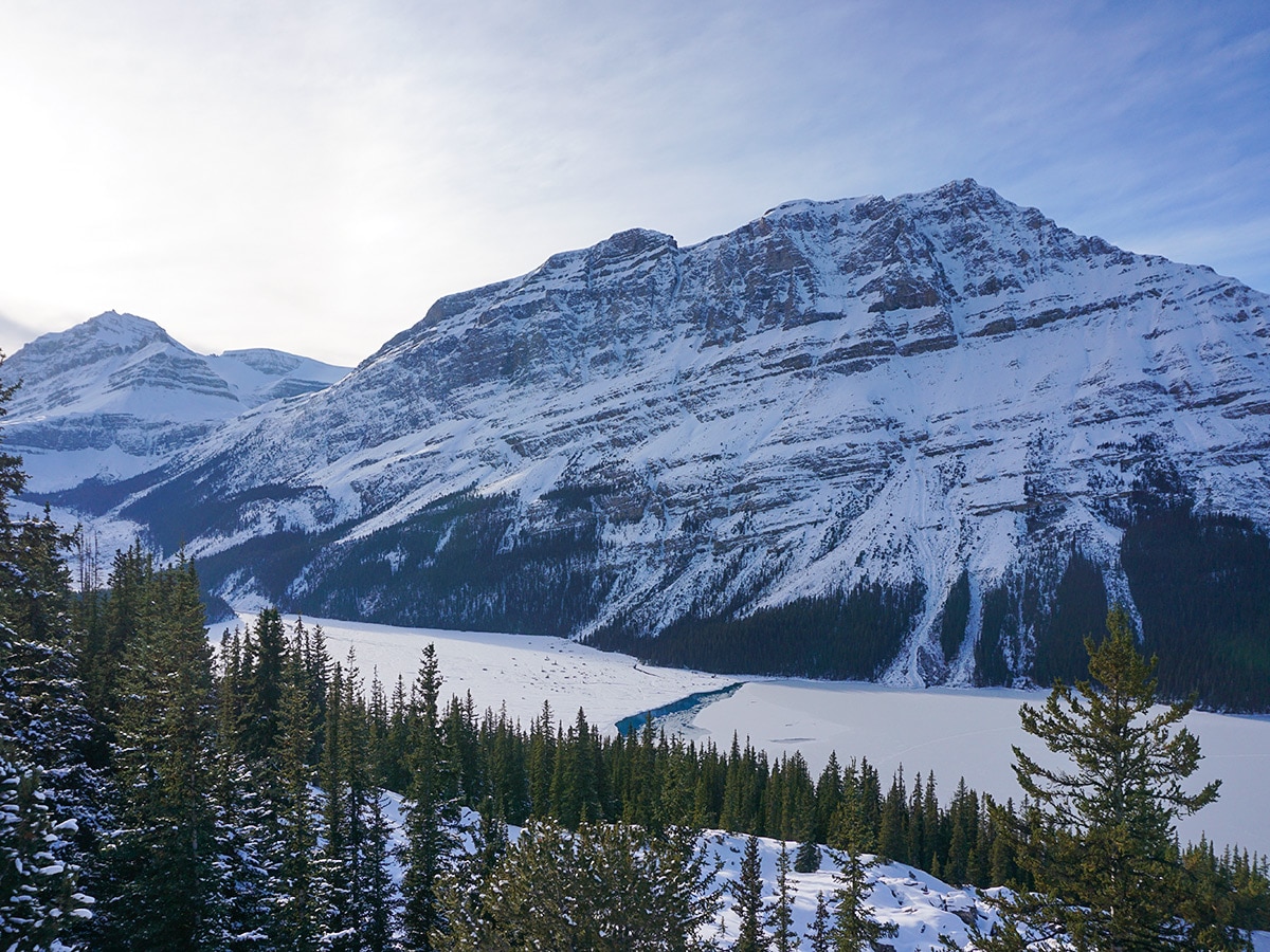 Looking across Peyto Lake on Peyto Lake Viewpoint snowshoe trail in Banff National Park