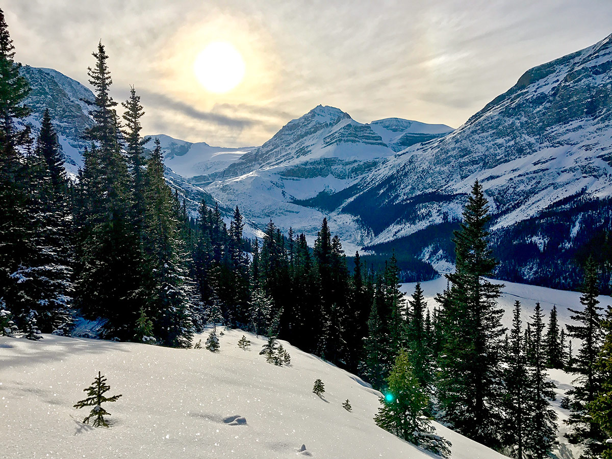 The slopes on Peyto Lake Viewpoint snowshoe trail in Banff National Park