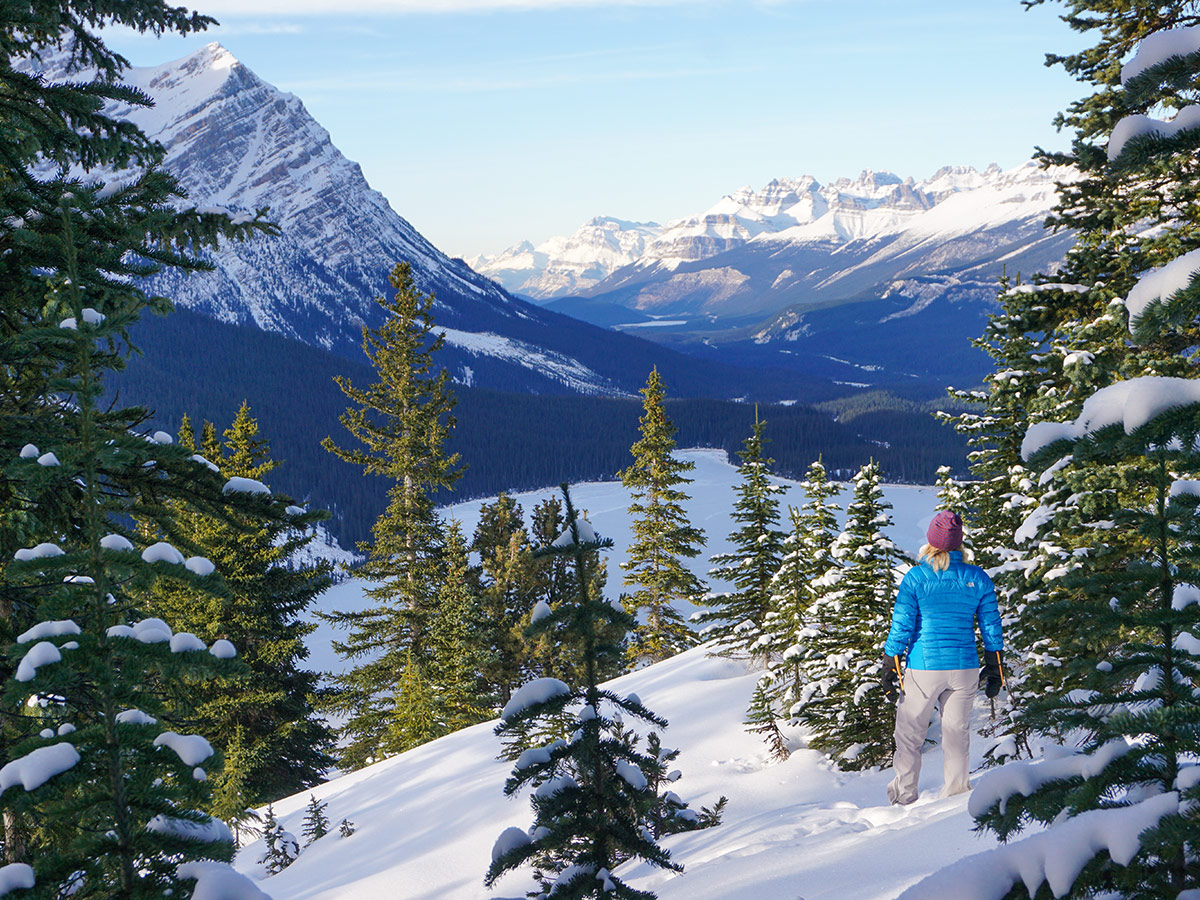 Views down from Peyto Lake Viewpoint snowshoe trail in Banff National Park