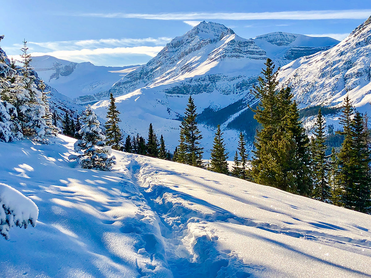 Route above the 2nd viewpoint on Peyto Lake Viewpoint snowshoe trail in Banff National Park