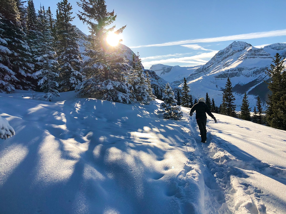 Peyto Lake Viewpoint snowshoe trail in Banff National Park rewards with amazing view of the valley