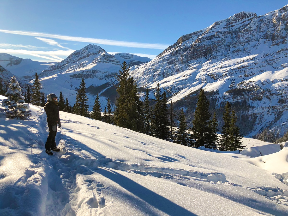 Beautiful views of Peyto Lake Viewpoint snowshoe trail in Banff National Park