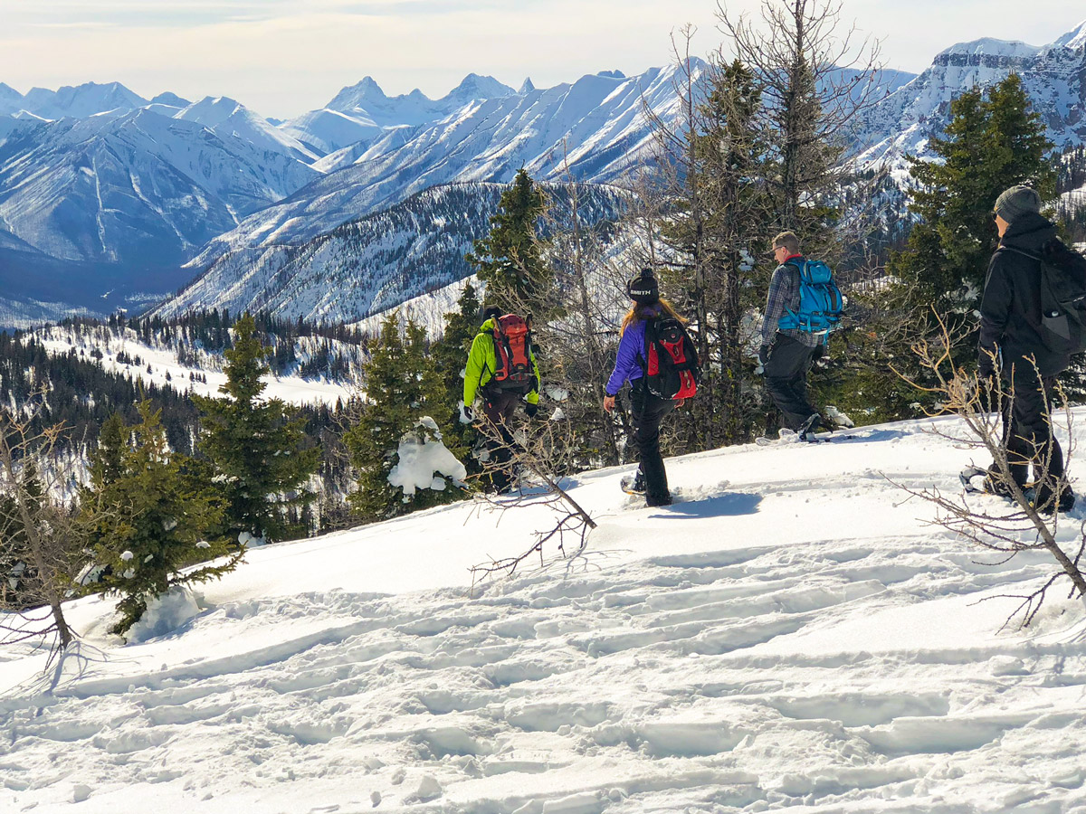 Going down from Standish Viewpoint on Sunshine Meadows snowshoe trail Banff National Park