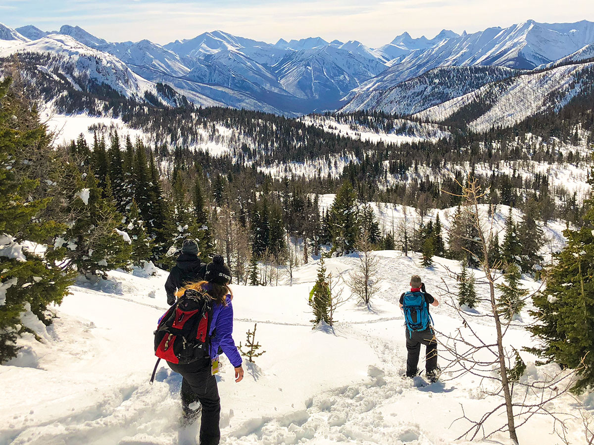 Sunny day on Sunshine Meadows snowshoe trail Banff National Park