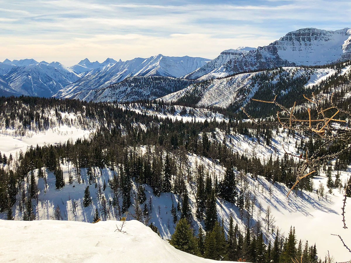 Panorama from the Sunshine Meadows snowshoe trail Banff National Park