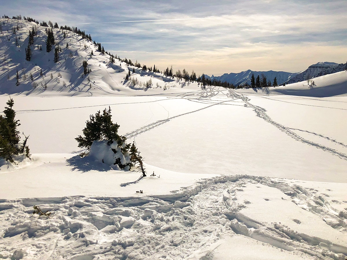 Winter views on Sunshine Meadows snowshoe trail Banff National Park