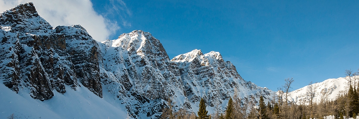 Snowy peaks along Taylor Lake and Panorama Meadows snowshoe trail in Banff National Park