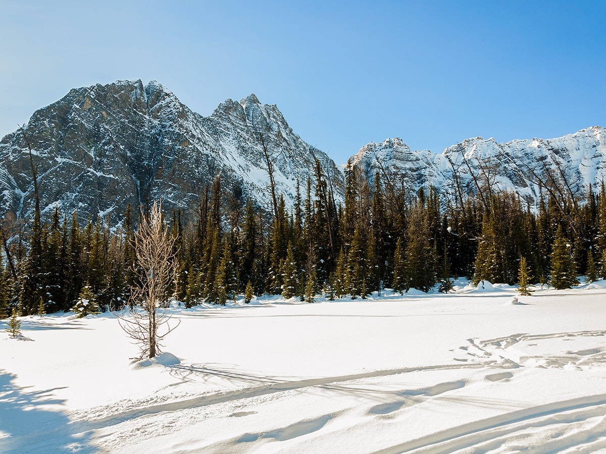 Winter on Taylor Lake and Panorama Meadows snowshoe trail in Banff National Park