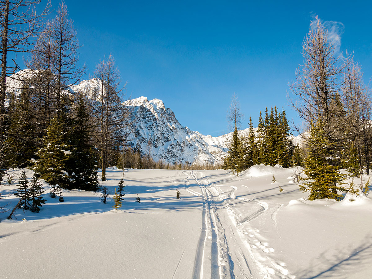 Scenery around Taylor Lake and Panorama Meadows snowshoe trail in Banff National Park