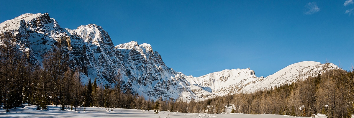 Incredible views on Taylor Lake and Panorama Meadows snowshoe trail in Banff National Park