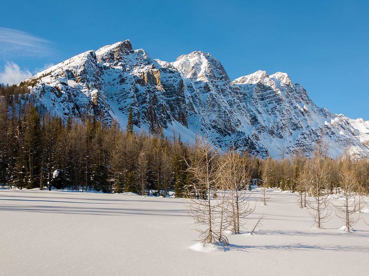 Winter views on Taylor Lake and Panorama Meadows snowshoe trail in Banff National Park