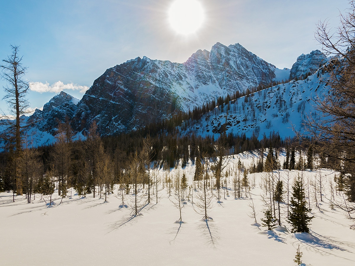 Mt Bell from Taylor Lake and Panorama Meadows snowshoe trail in Banff National Park