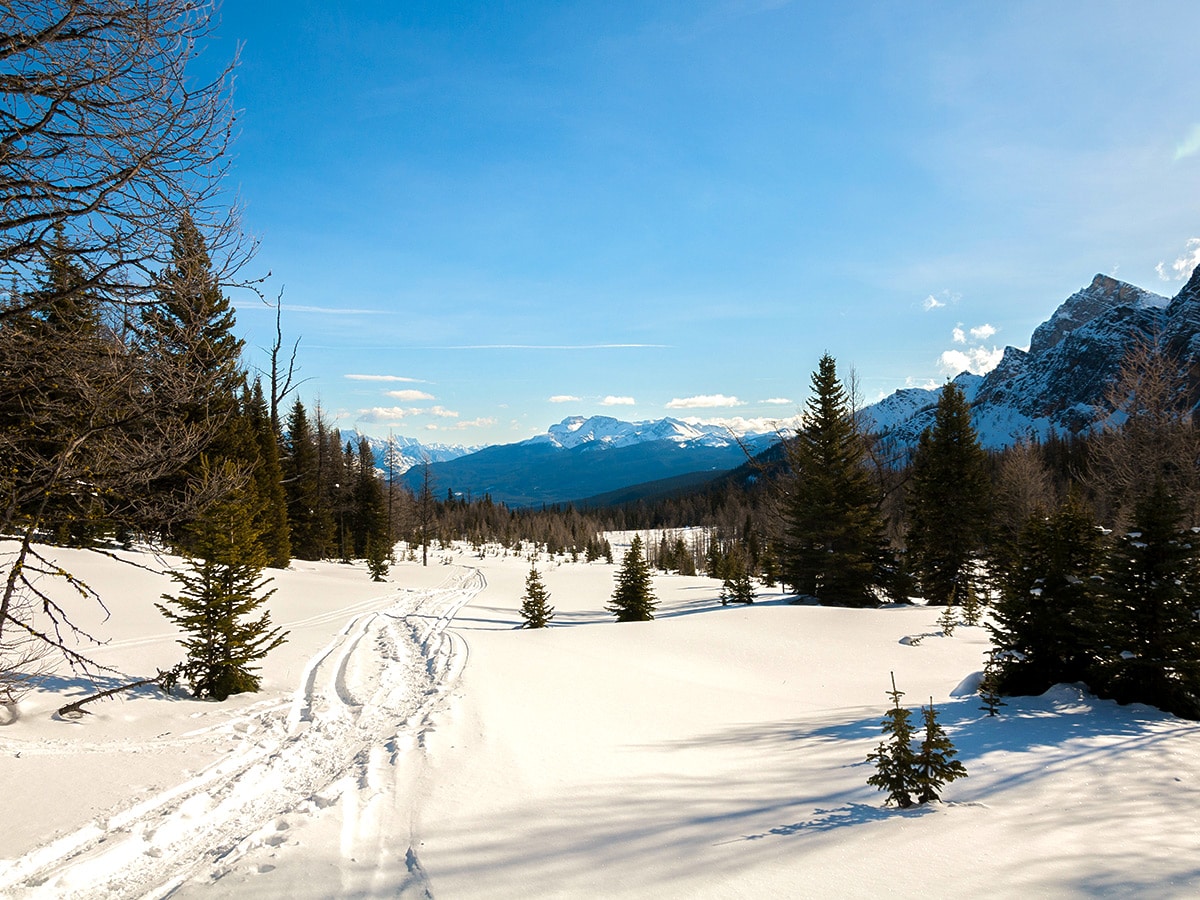 Route on Taylor Lake and Panorama Meadows snowshoe trail in Banff National Park