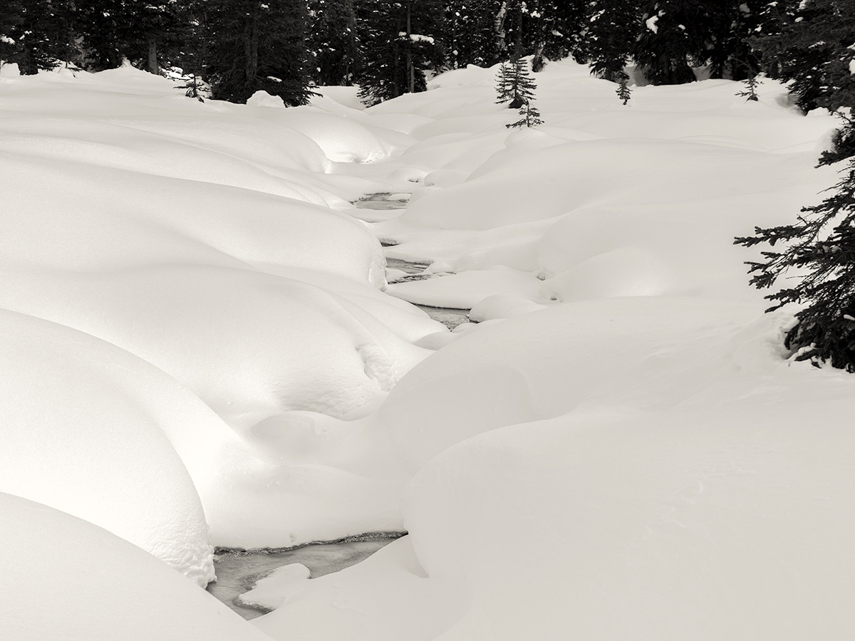 The creek on Taylor Lake and Panorama Meadows snowshoe trail in Banff National Park