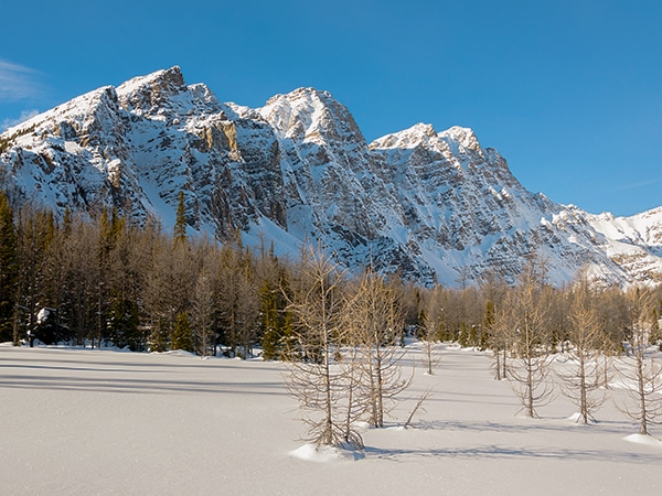 Scenery from Taylor Lake and Panorama Meadows snowshoe trail in Banff National Park