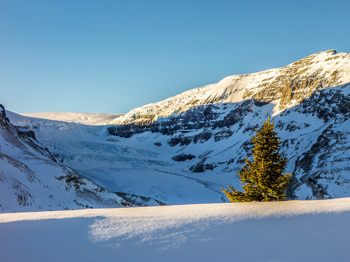 Stunning views of the Athabasca Glacier on Wilcox Pass snowshoe trail Banff National Park